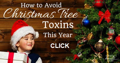 How to Avoid Christmas Tree Toxins
